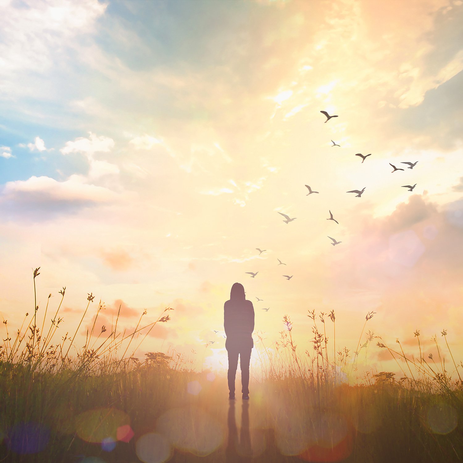 Thought for the Week