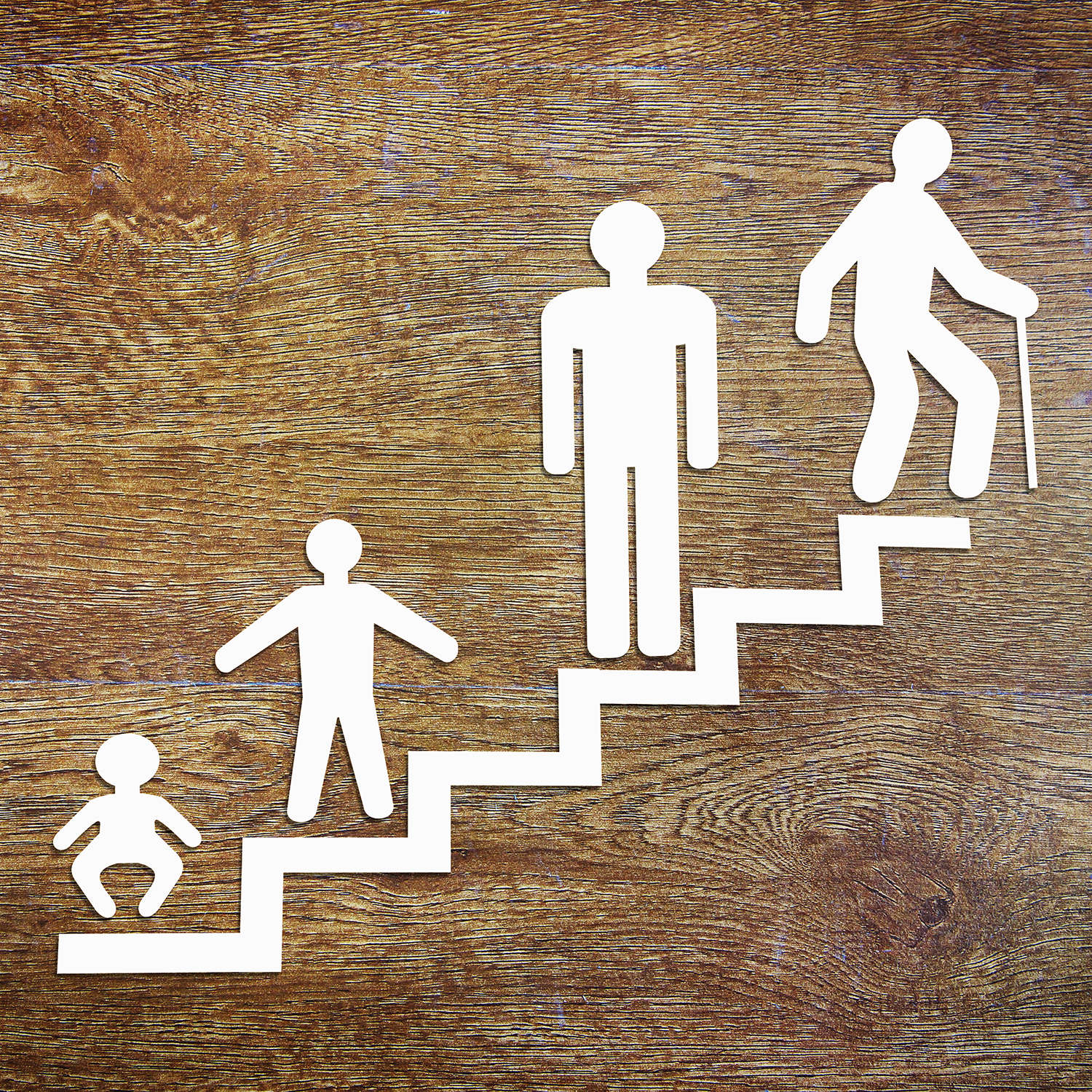 The Generations Game