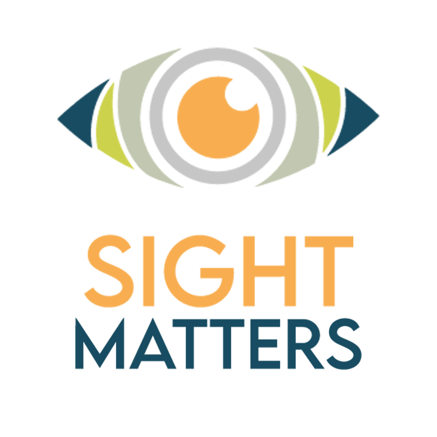 Sight Matters Matters